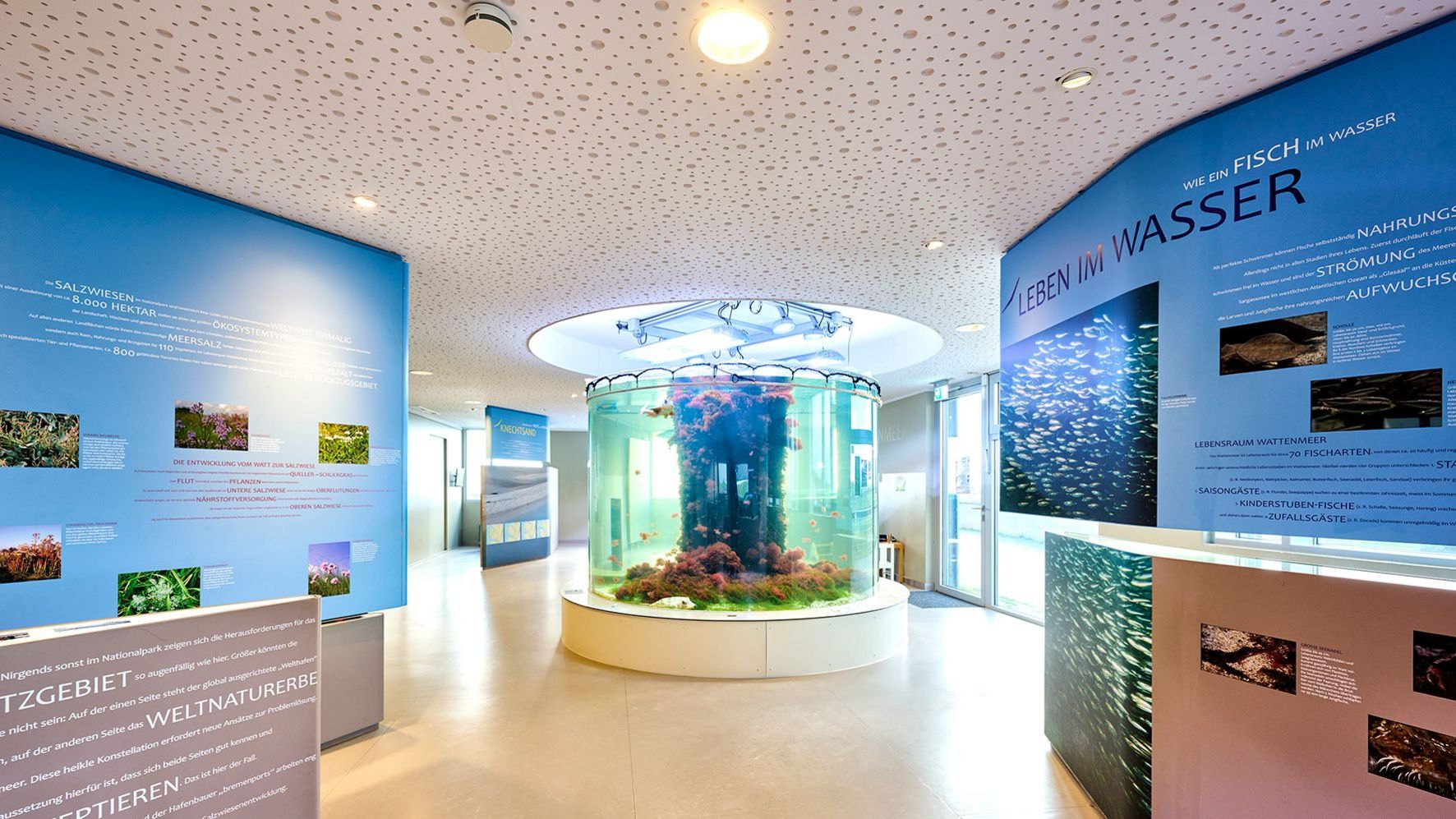 Rundes Aquarium im Nationalpark-Haus.