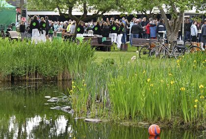 Teich an der Grille in Wremen