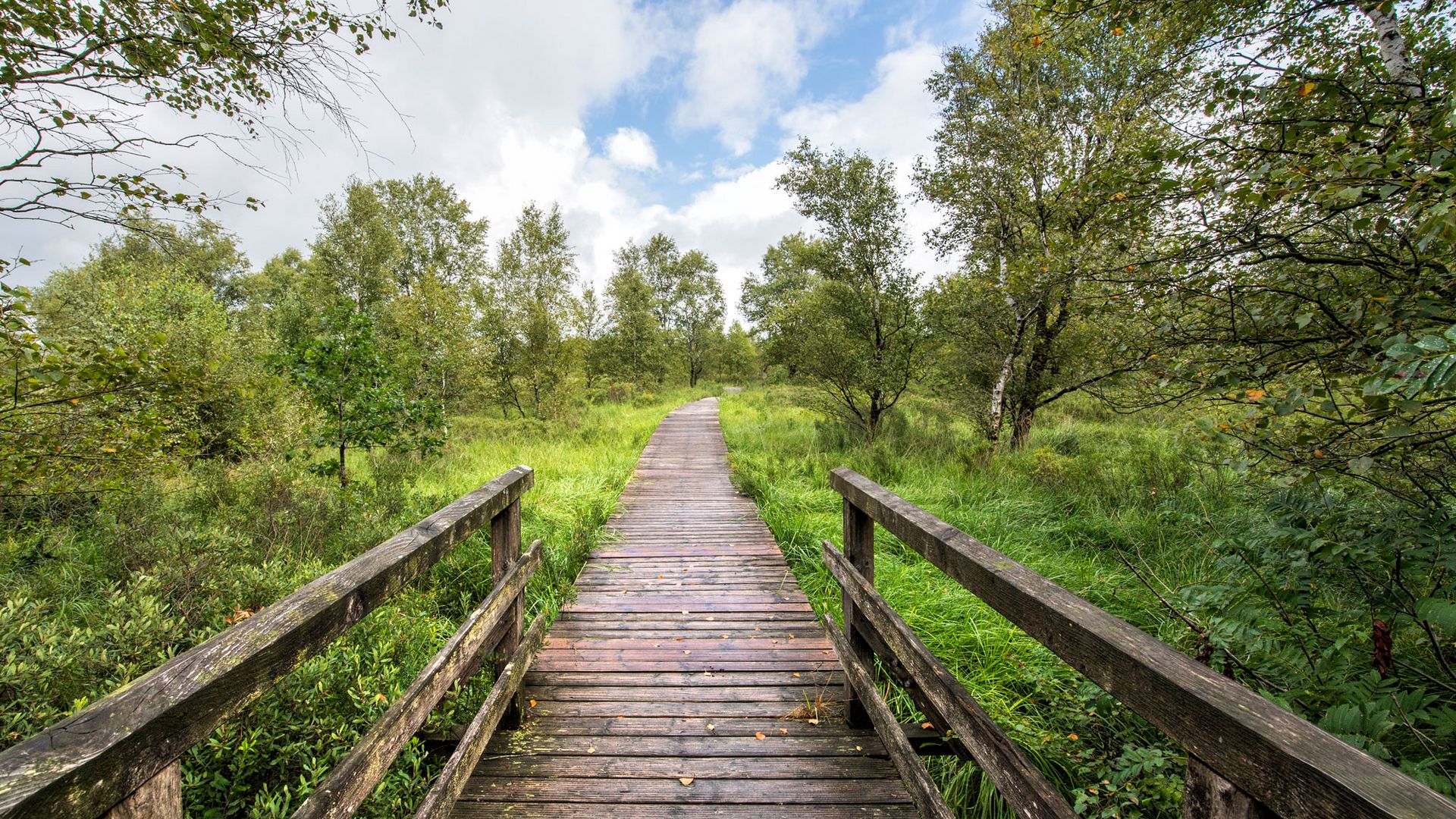 Die Top 10 Watthighlights Ahlenmoorerlebnispfad Geestland